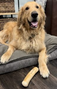 Coffee wood sticks are non-toxic for chewers.
