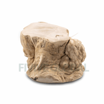 Root Chew Toy For Dog